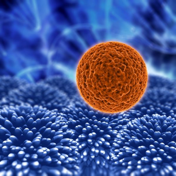 biologia celular biotecnologia