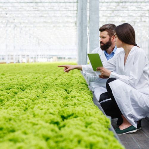 biotecnologia industria agroalimentaria