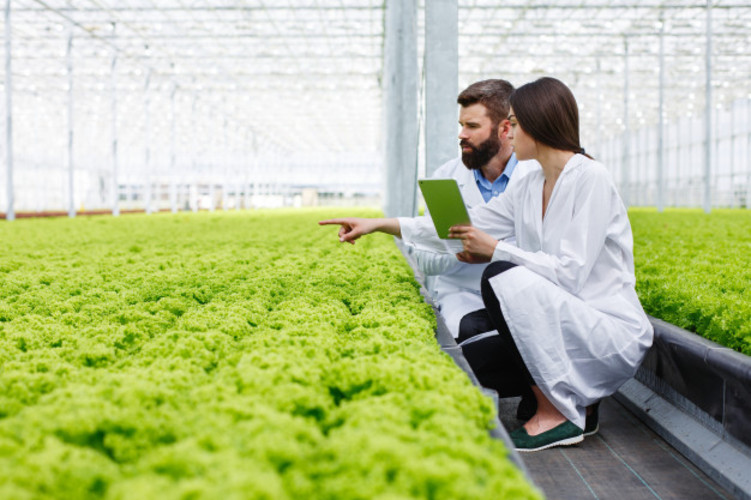 biotecnologia industria agroalimentaria